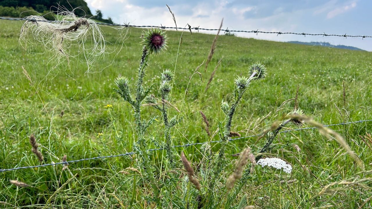 Landschaft Landschaft